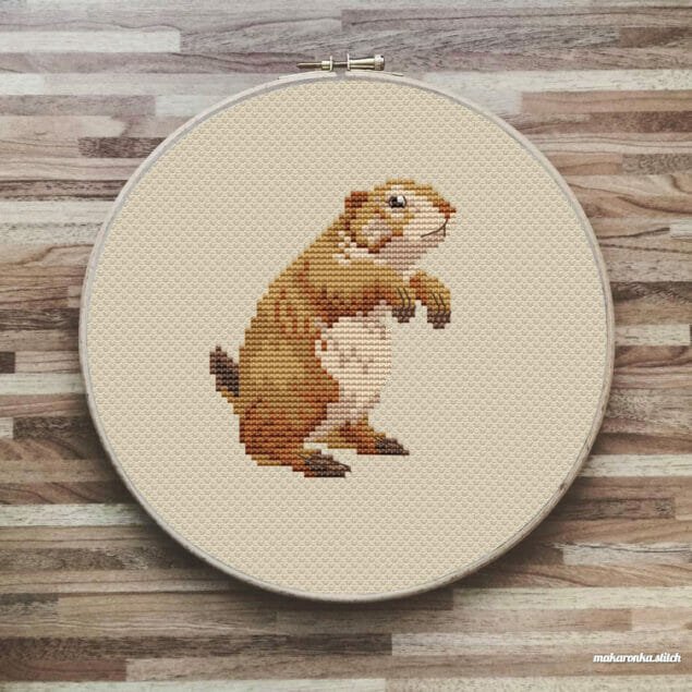 Prairie dog Prairie dog